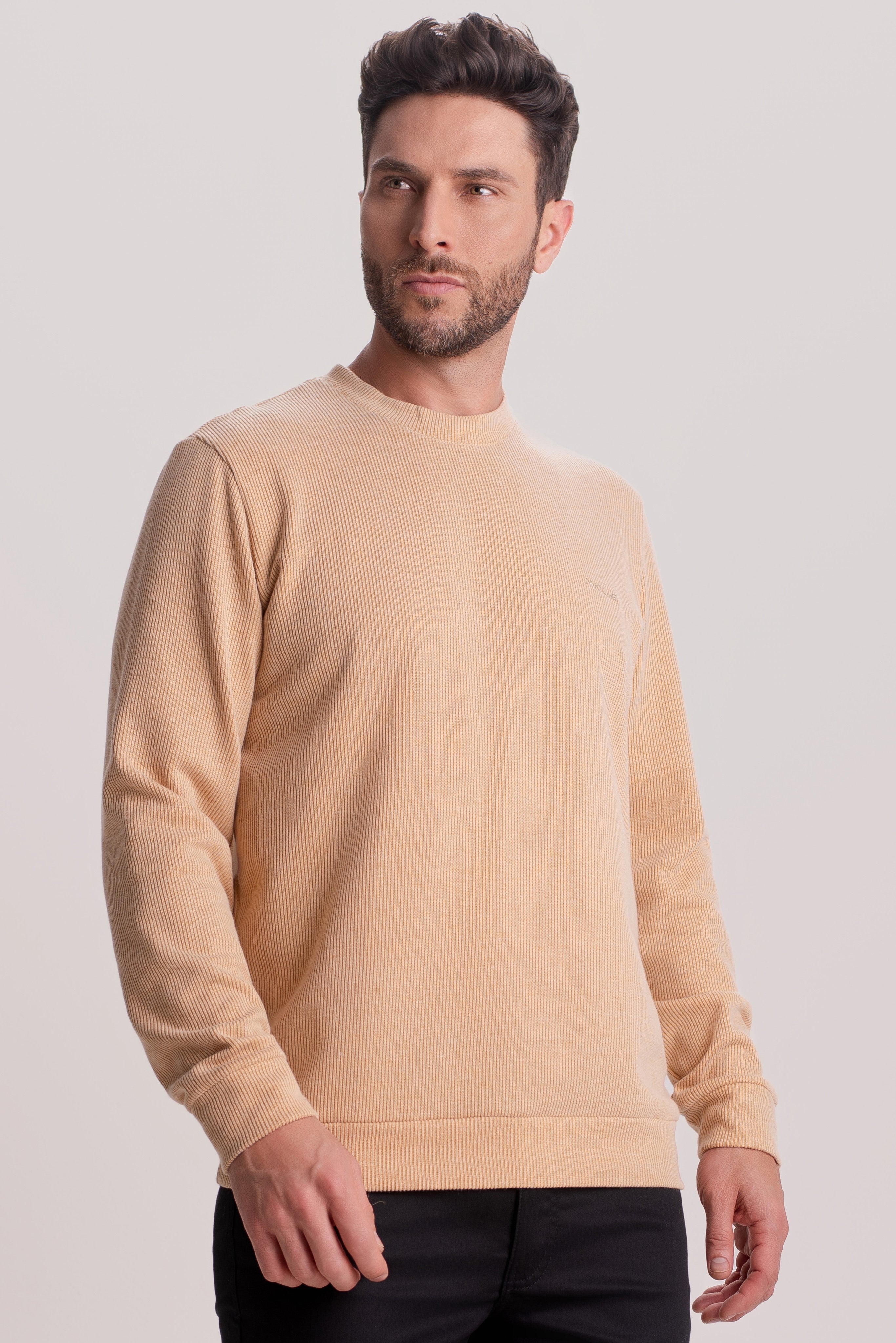 Suéter Masculino em Tricot Premium astor Vellutatto