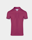 CAMISA POLO BASICA/PIQUET