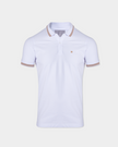 CAMISA POLO BASICA/PIQUET