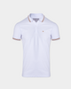 CAMISA POLO BASICA/PIQUET